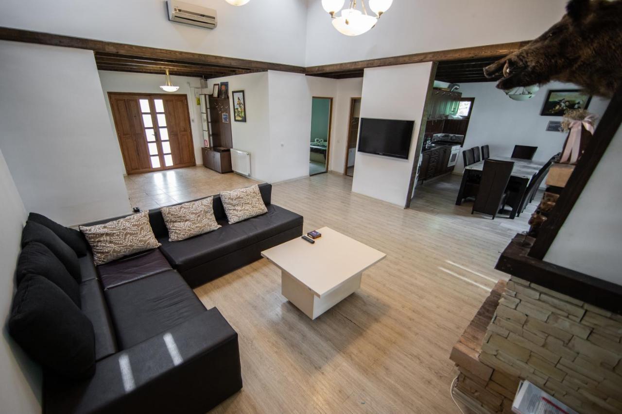 Holiday home Casa Arcadia 1 Piscina,jacuzzi, Sauna Buzau